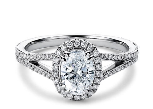 Fantasia in White Gold set with a Oval cut diamond.